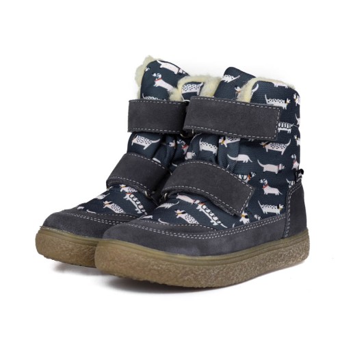 IMG_9523 doggy gray.jpg